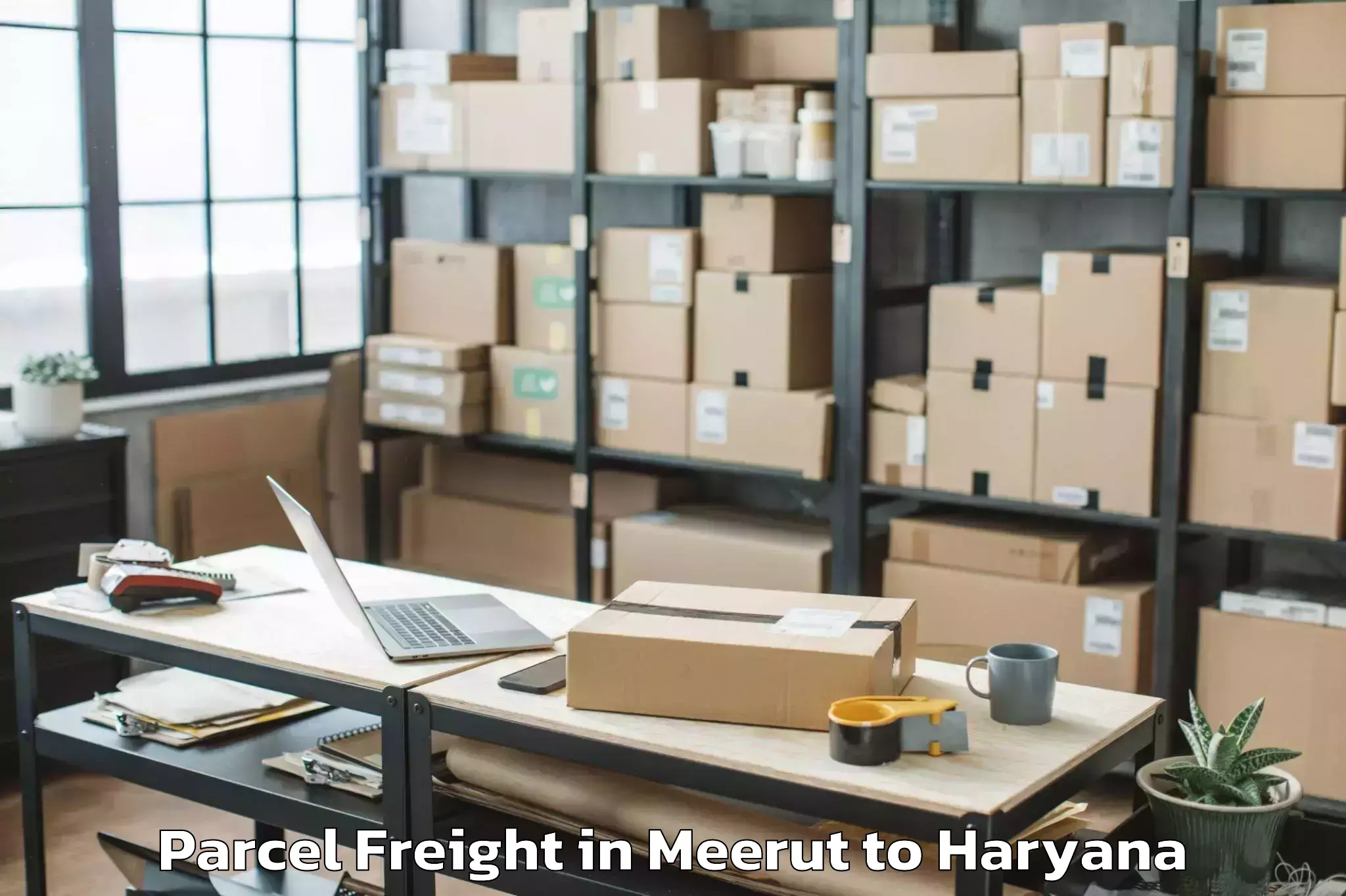 Easy Meerut to Chaudhary Charan Singh Haryana Parcel Freight Booking